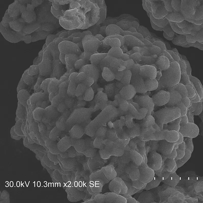 Electron microscope photographs (2).jpg