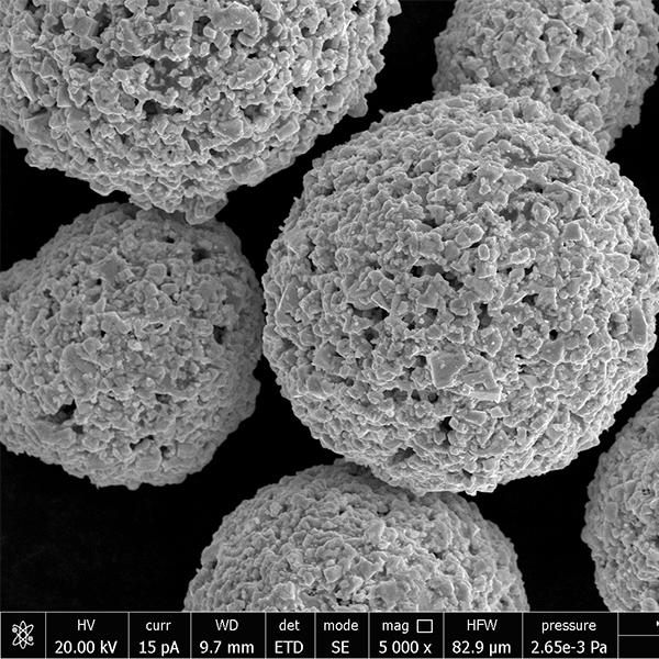 Electron microscope photographs (1).jpg